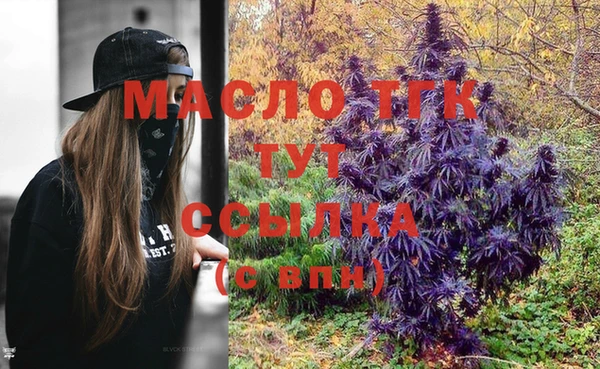 дживик Верхний Тагил