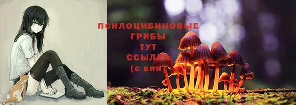 гашишное масло Бронницы
