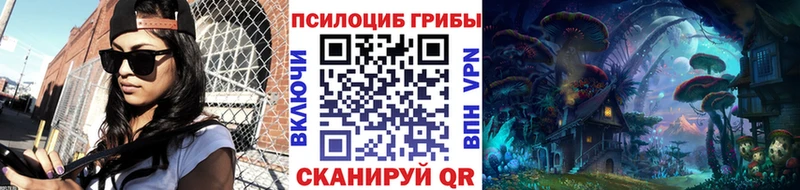 наркота  Северская  Псилоцибиновые грибы мицелий 